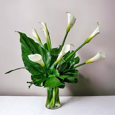 White Callas