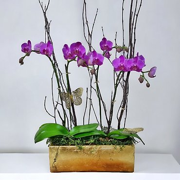 Luxury - Florist Exclusive
