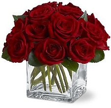 Red Roses in Cube