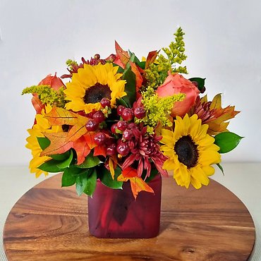 Modern Enchantment for Fall