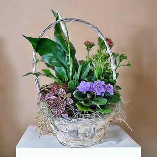 Blooming Basket