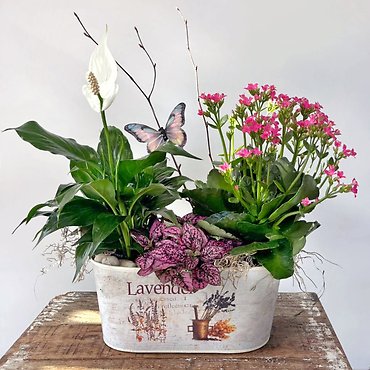 Florist Exclusive Blooming Garden