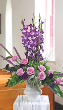 Regal Plum