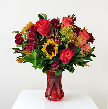 Autumn Sophistication