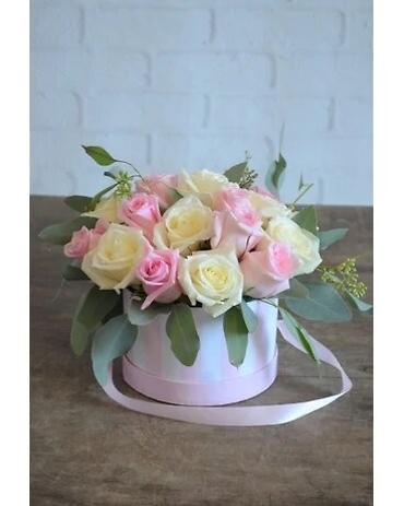 Princess Rose