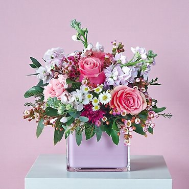 Be My Valentine Collection