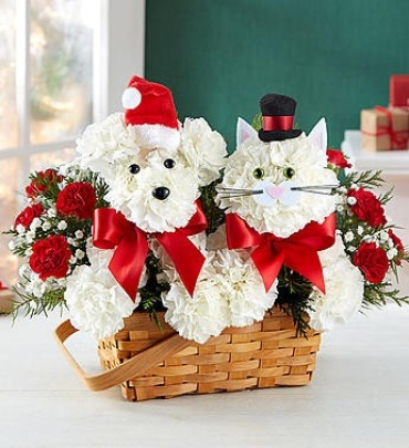Playful Paws™ for Holiday