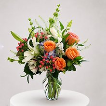 Apricot Dreams