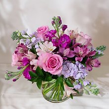 Blooms of joy