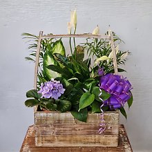 Florist Exclusive Blooming Garden
