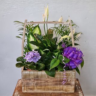 Florist Exclusive Blooming Garden