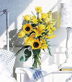 Blazing Sunshine.