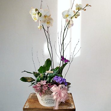 Florist Exclusive European Garden