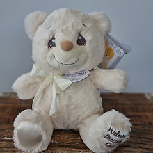 Welcome precious one bear