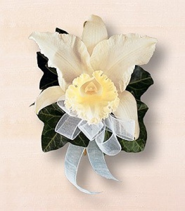 Japhet Orchid Corsage