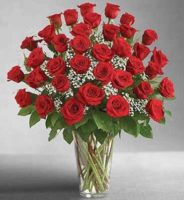 Red Roses for Romance