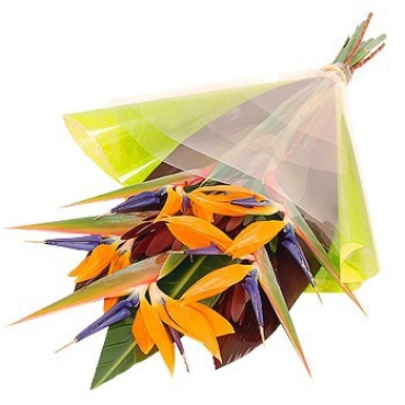 Birds of Paradise Wrapped Bouquet