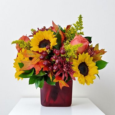 Modern Enchantment for Fall