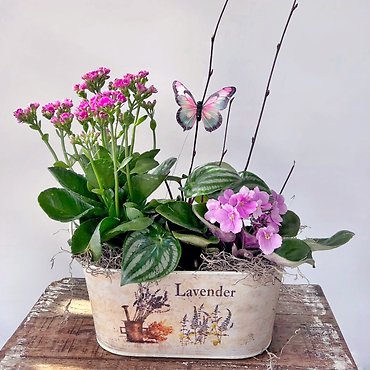 Florist Exclusive Blooming Garden