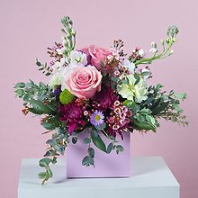 Be My Valentine Collection