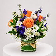 Coastal Breeze