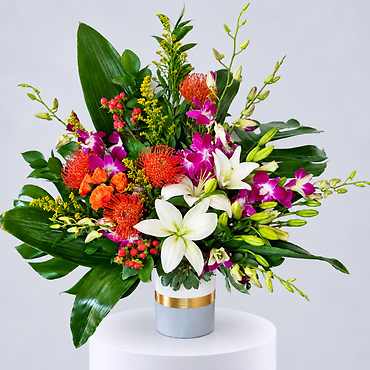Tropical Fusion
