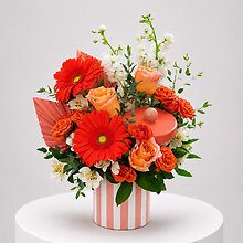 Coral Crush
