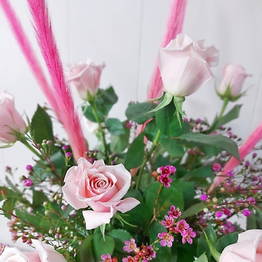 Pink Explosion