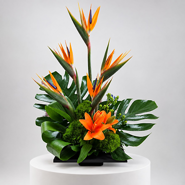 Tropical Rythm