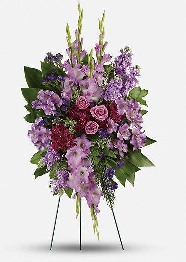 Lavender Dreams Spray