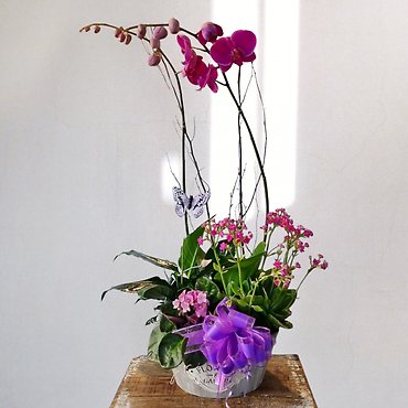 Florist Exclusive European Garden