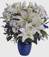 Winter\'s Grace