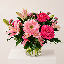 Pink Passion