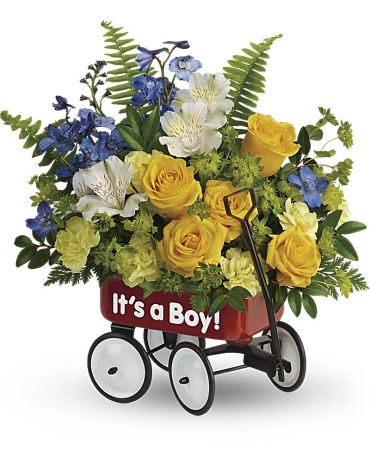 Baby Boy\'s First Wagon