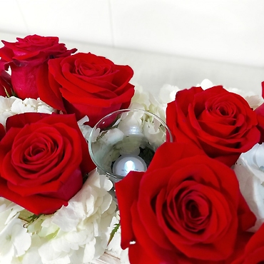 Infinite Love Roses
