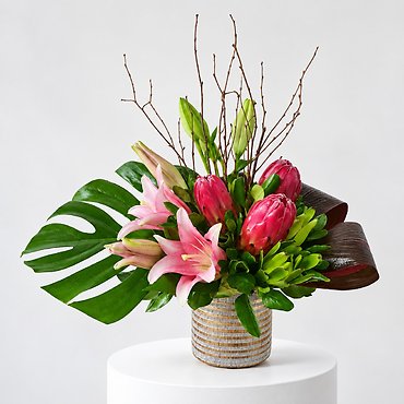 Protea Poise