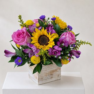 Burst of Color