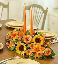 Fields of Europe™ for Fall Centerpiece