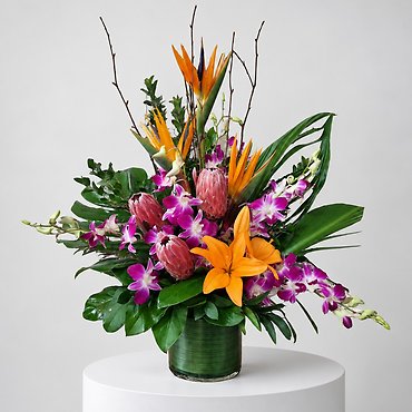 Exotic Elegance