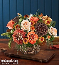 Woodland Bird’s Nest™ by Southern Living
