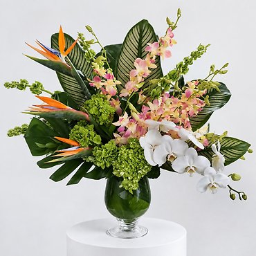 Floral Escape