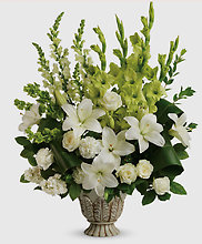Garden\'s Grace