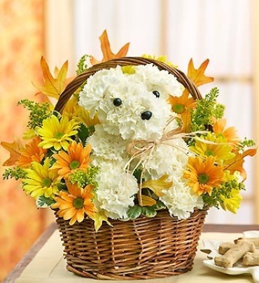 a-DOG-ableâ?¢ for Fall Basket