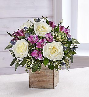 Amethyst Splendor Succulent Bouquet