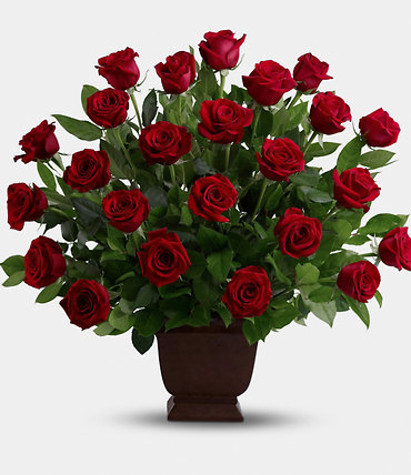 Dozen Red Roses Urn Arrangement
