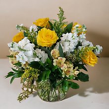 Yellow Serenade