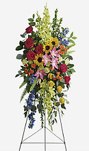 Kaleidoscope of Life Spray